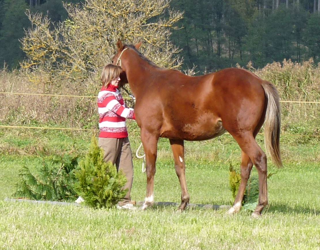 63 - říjen 2009