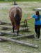 Závody Extreme Trail 21.9.2014 093